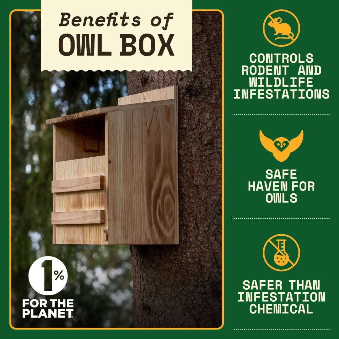 Cedar owl box on tree with benefits listed: pest control, safe for owls, eco-friendly alternative to chemicals