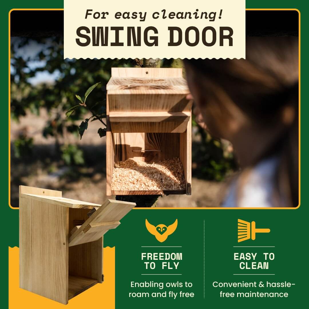 Owl box with swing door for easy cleaning, enabling owls to fly freely and simplifying maintenance.