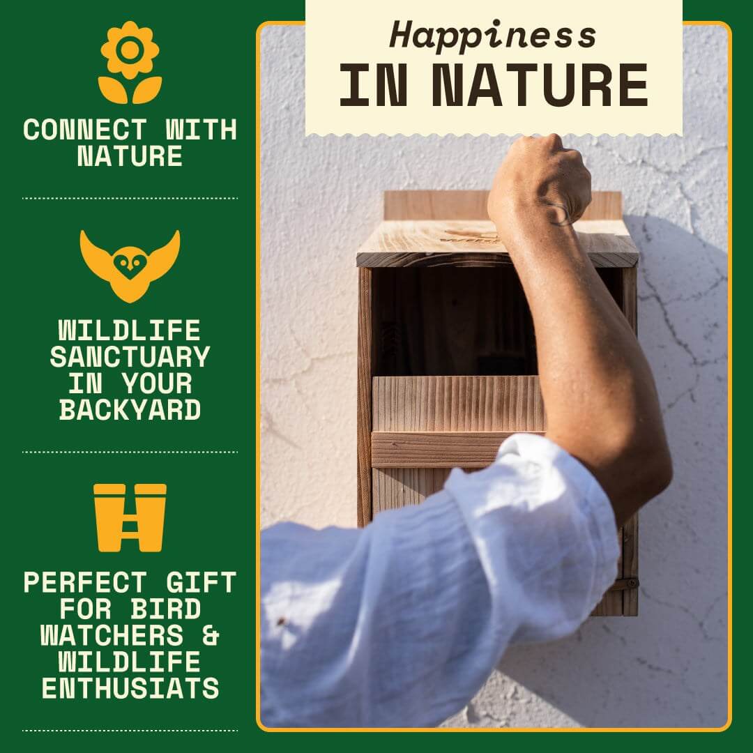Connect with nature, create a backyard wildlife sanctuary, and give the perfect gift for bird lovers