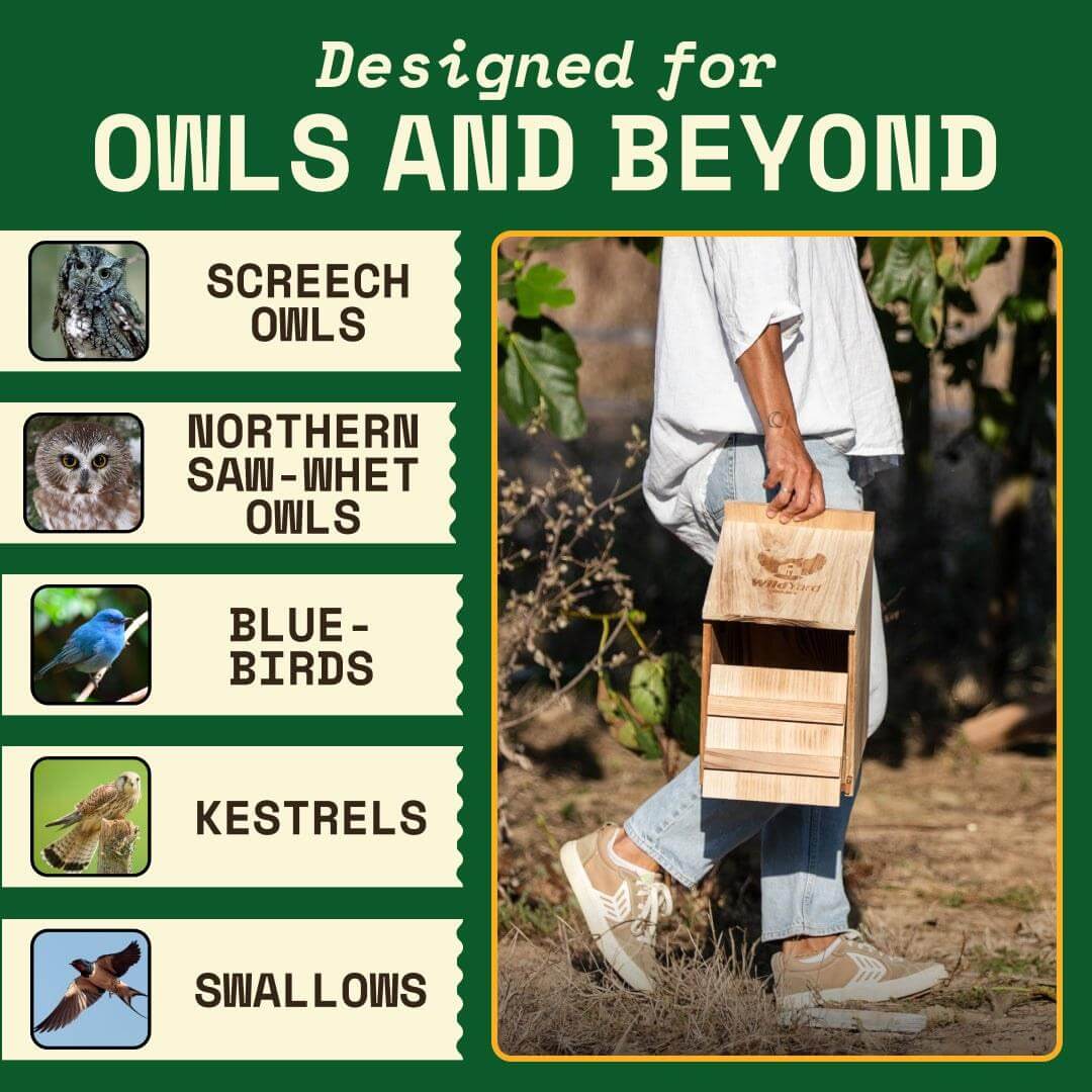 Person holding a wooden owl box designed for screech owls, northern saw-whet owls, bluebirds, kestrels, and swallows in a garden setting