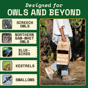 Bat & Owl Habitat Halloween Bundle