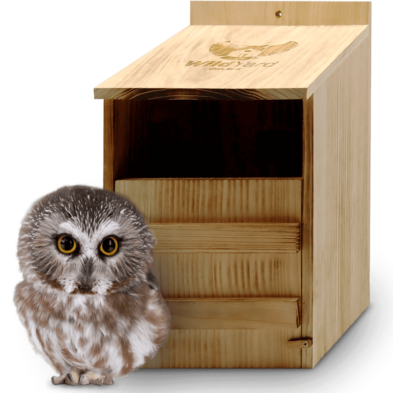 Eco-friendly wooden owl box with weather-resistant design and insulation for safe owl roosting in gardens and forests