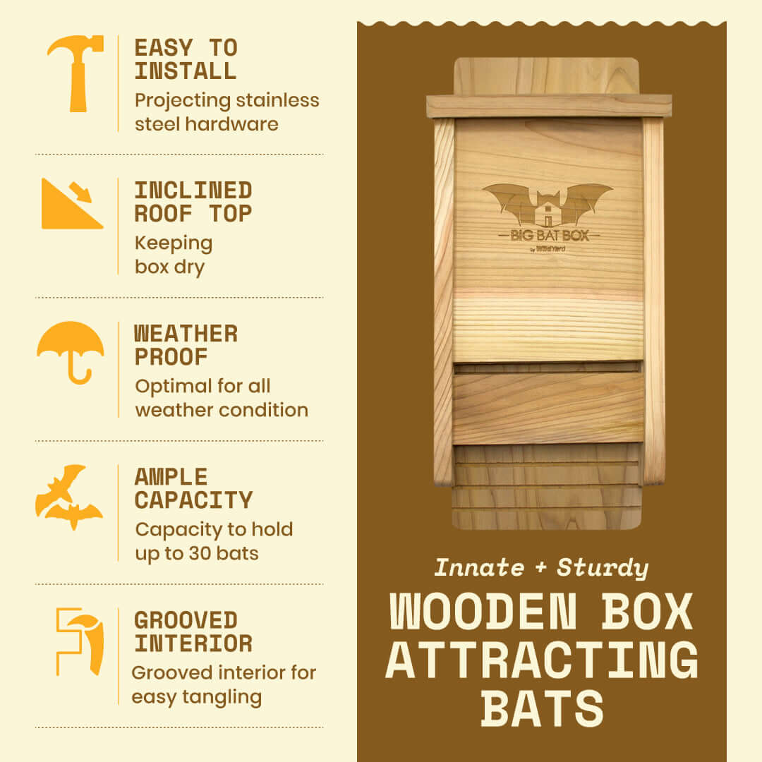 Eco-friendly single chamber bat house in cedar, handcrafted from cedar wood, holds 75 bats, weatherproof, protects from predators.