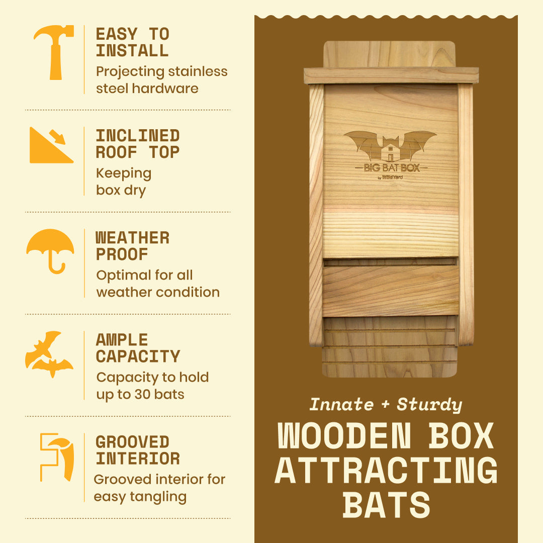 Eco-friendly single chamber bat house in cedar, handcrafted from cedar wood, holds 75 bats, weatherproof, protects from predators.