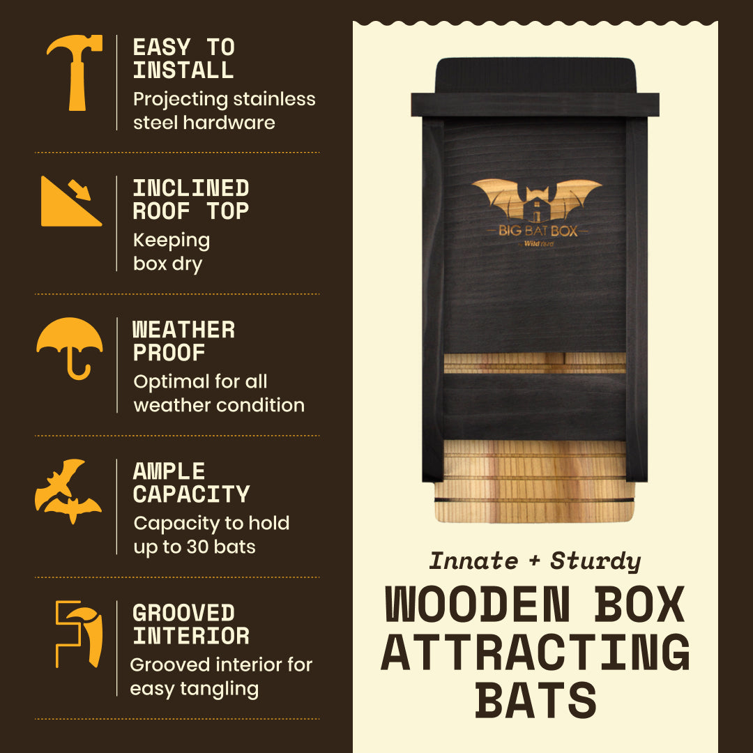Black bat box with features listed: easy installation, inclined roof, weatherproof, ample capacity, grooved interior