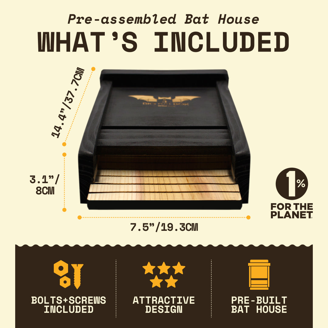 Prebuilt black bat box dimensions and items included