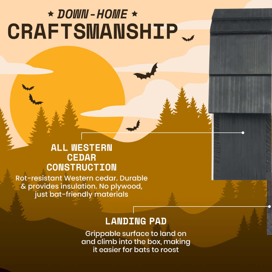 Bat Barn Junior – Two Chamber Premium Cedar Bat Barn (Black)