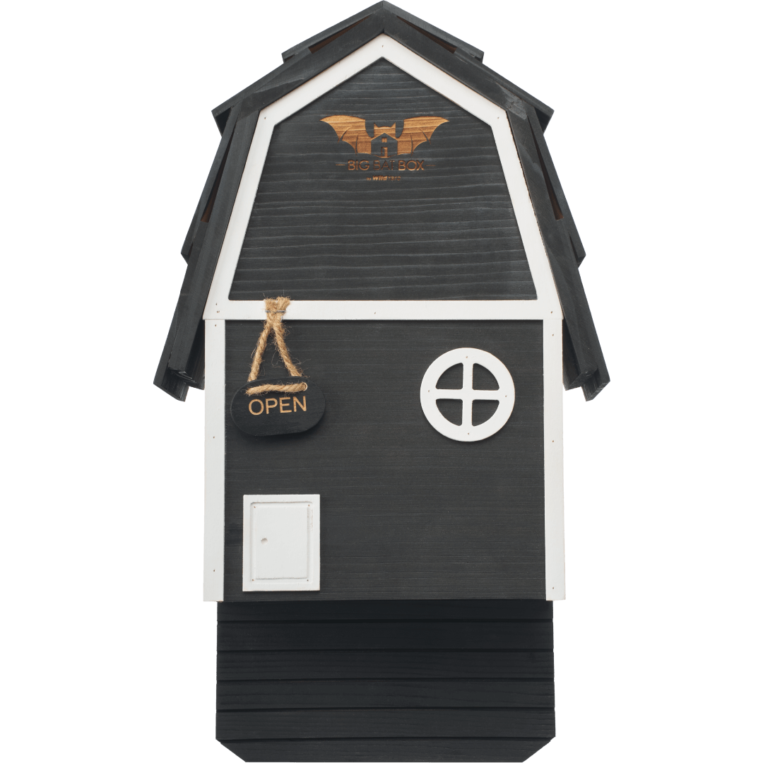 Bat Barn Junior – Two Chamber Premium Cedar Bat Barn (Black)