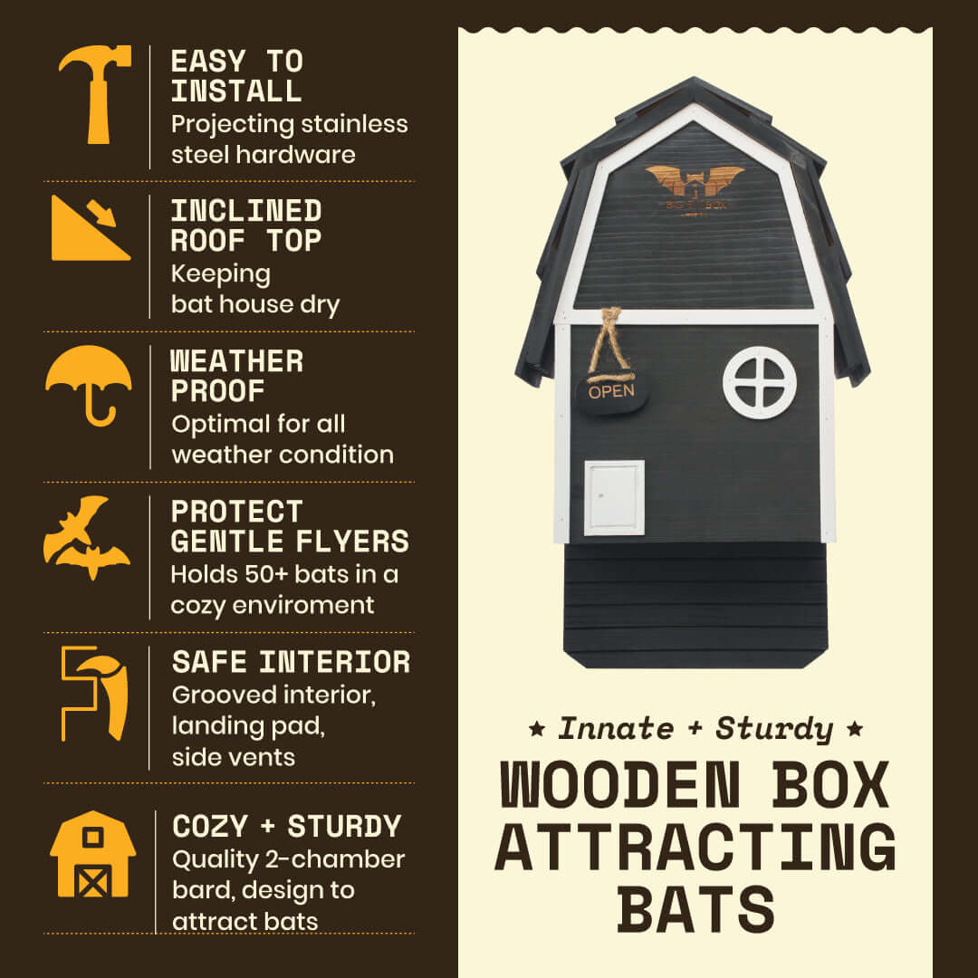 Bat Barn Junior – Two Chamber Premium Cedar Bat Barn (Black)