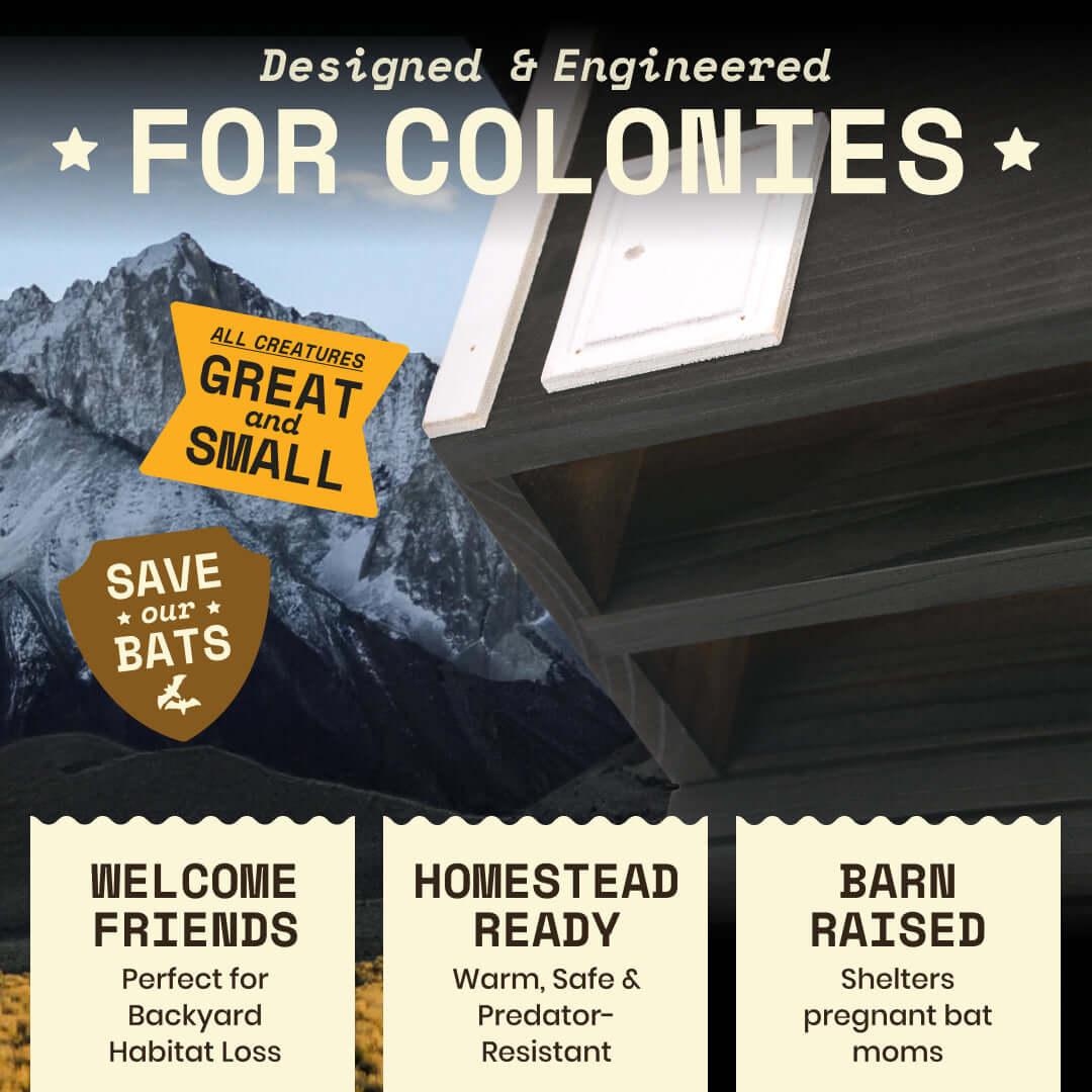 Bat Barn Junior – Two Chamber Premium Cedar Bat Barn (Black)