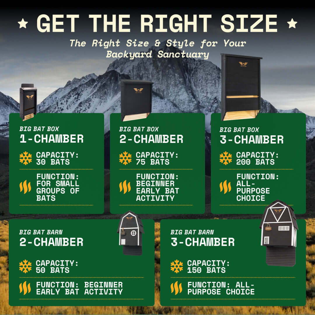 Bat Barn Junior – Two Chamber Premium Cedar Bat Barn (Brown)