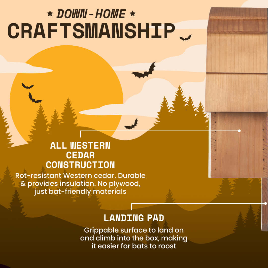 Bat Barn Junior – Two Chamber Premium Cedar Bat Barn (Brown)