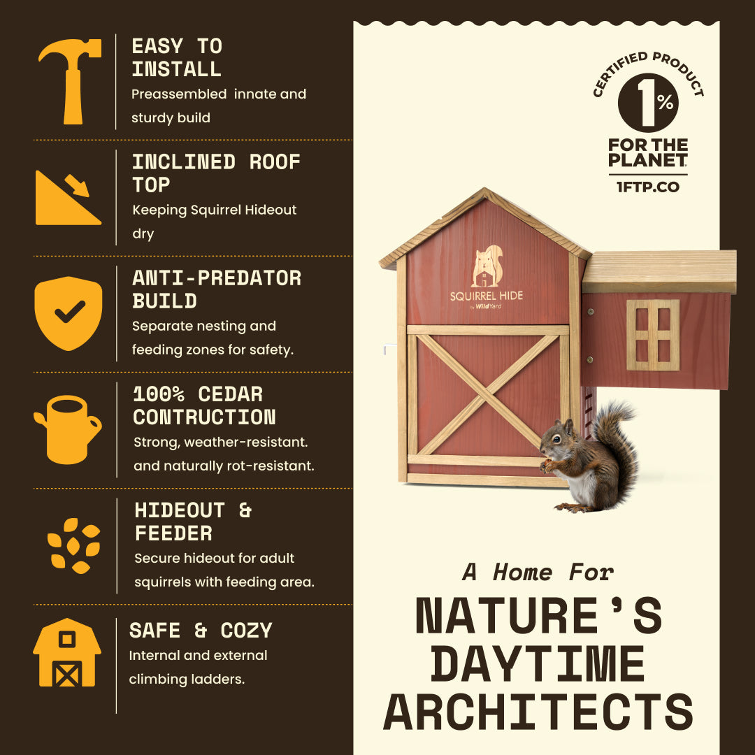 Squirrel House - Hideout & Feeder with easy installation, inclining roof, anti-predator build, and cedar construction.