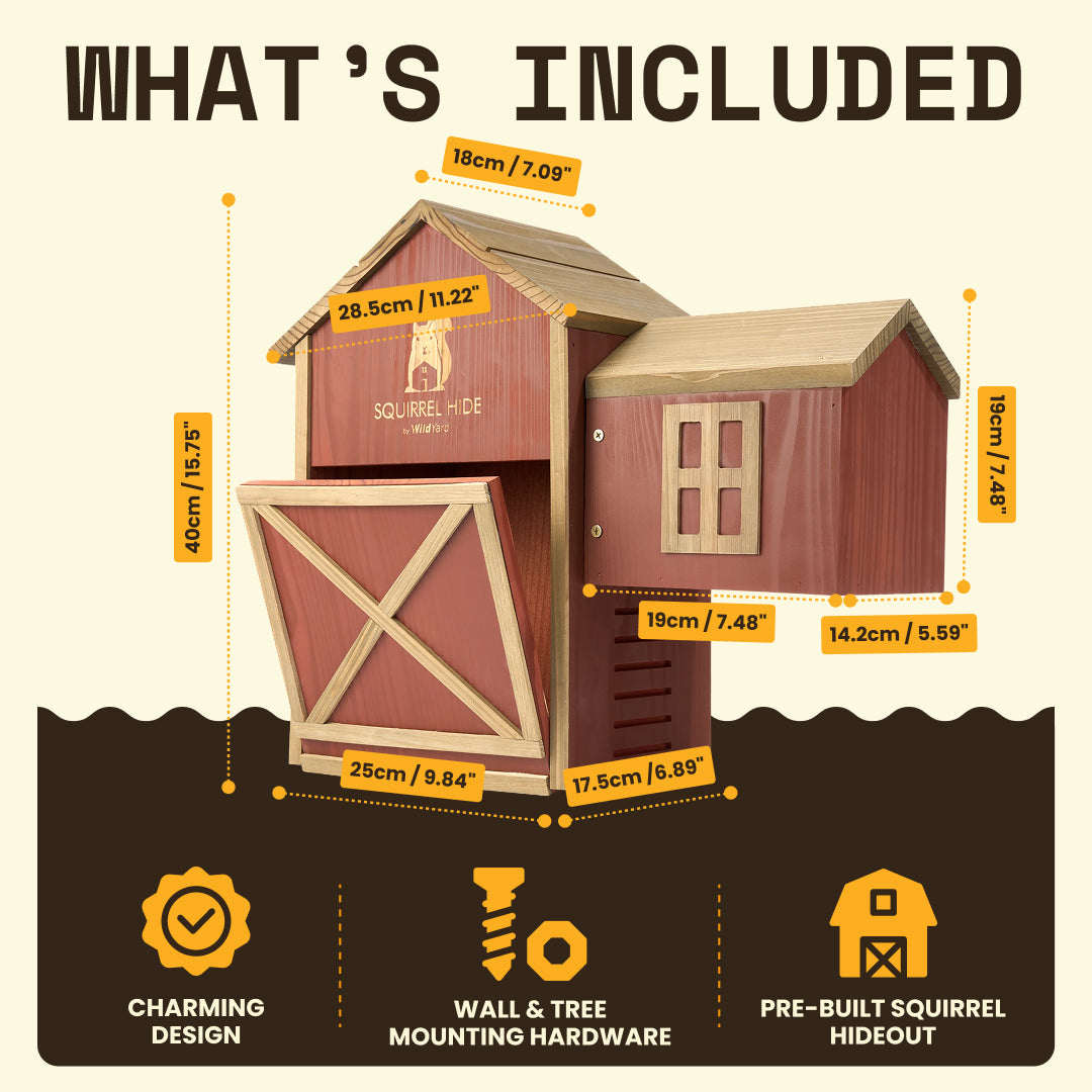 Squirrel House - Hideout & Feeder dimensions and features for natural habitat protection and feeding.