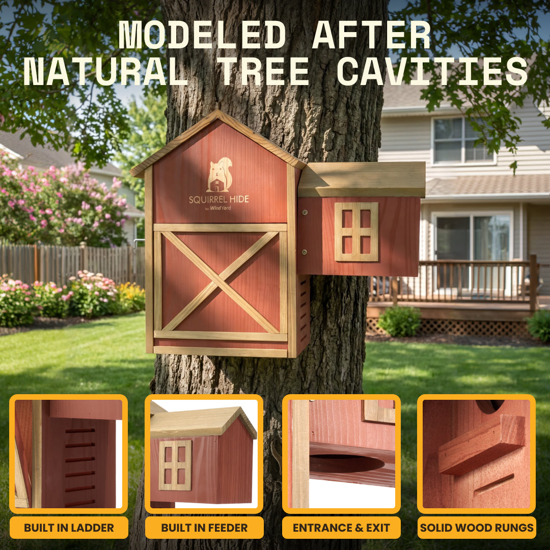 Squirrel House - Hideout & Feeder, designed for squirrels' natural habitat with built-in feeder and ladder.