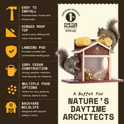 Squirrel Feeder