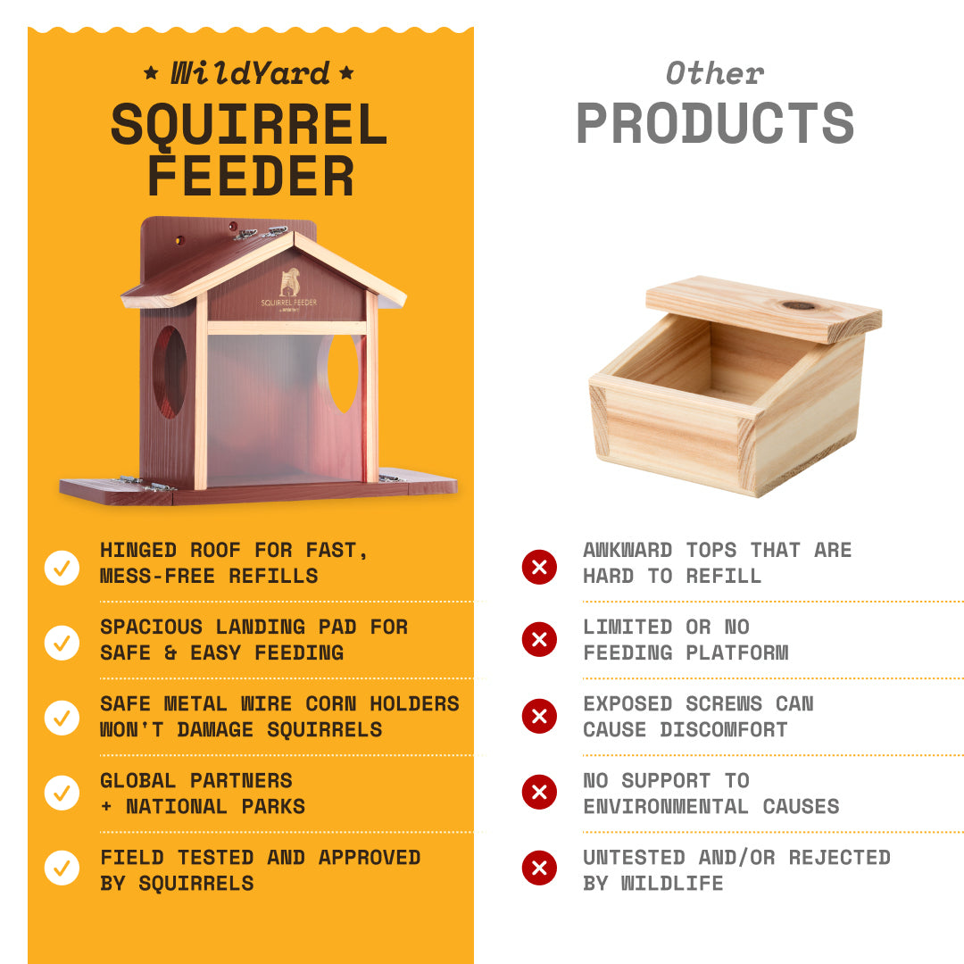 Squirrel Feeder