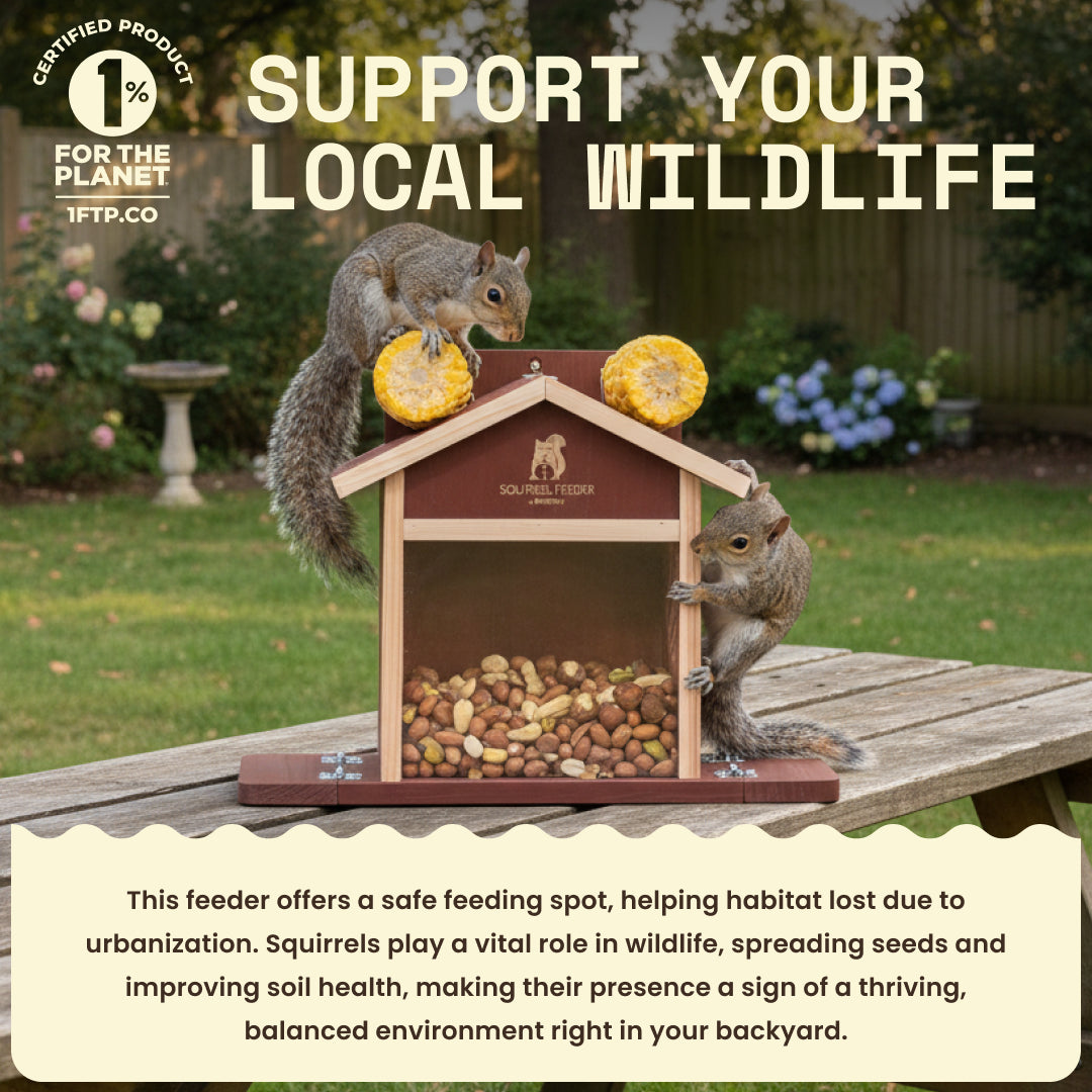 Squirrel Feeder