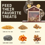Squirrel Feeder