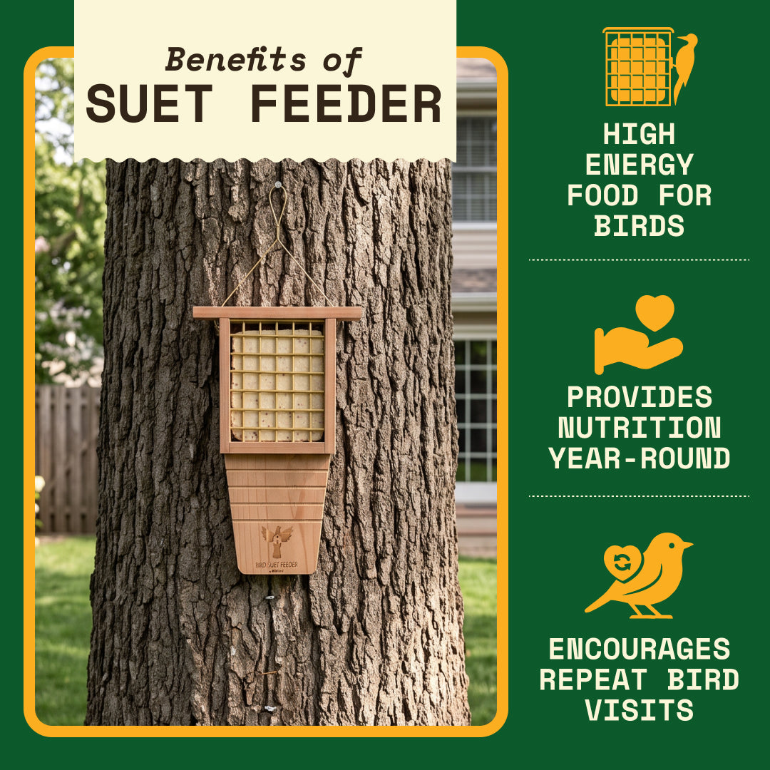 WildYard Bird Suet Feeder mounted on a tree trunk in a backyard, with the benefits of a suet feeder listed alongside