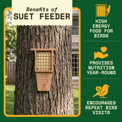 WildYard Bird Suet Feeder mounted on a tree trunk in a backyard, with the benefits of a suet feeder listed alongside