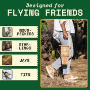 Panel of the backyard bird species that visit the WildYard Bird Suet Feeder, with a person carrying the feeder through a garden