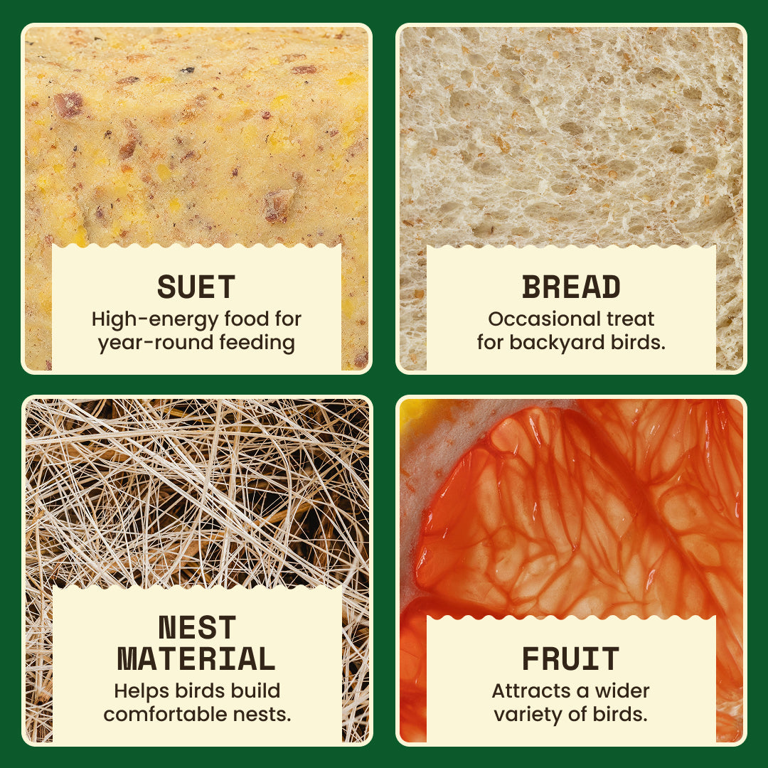 Foods you can put in the WildYard Bird Suet Feeder, including suet cakes, nesting material and fruit