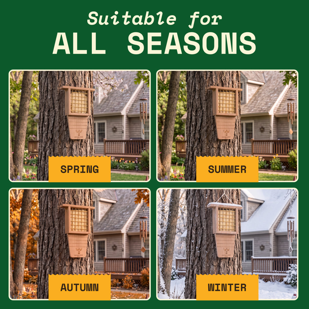 The WildYard Bird Suet Feeder on a tree through spring, summer, autumn and winter