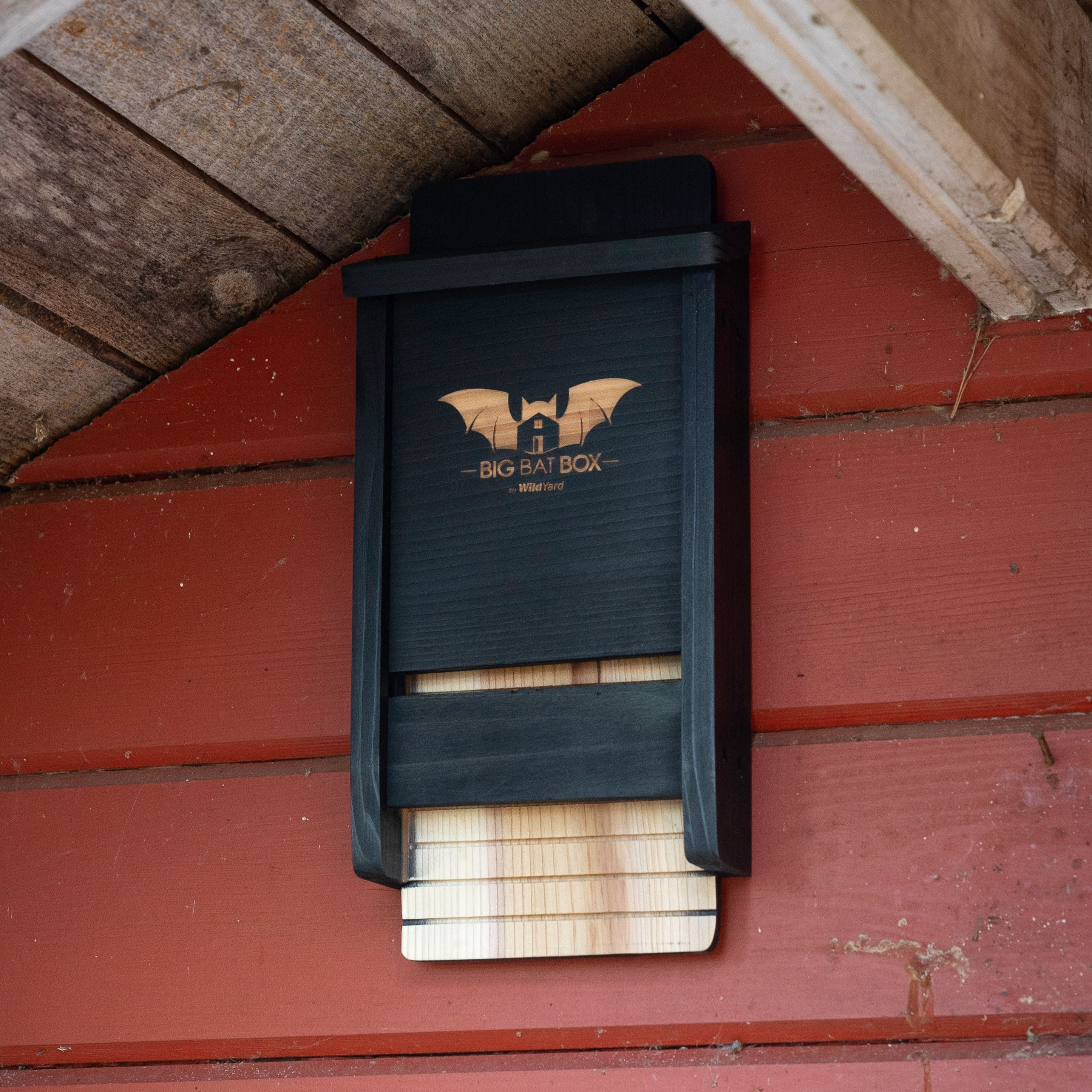 Black eco-friendly bat house attached to a wooden wall