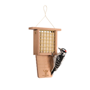 Bird Suet Feeder