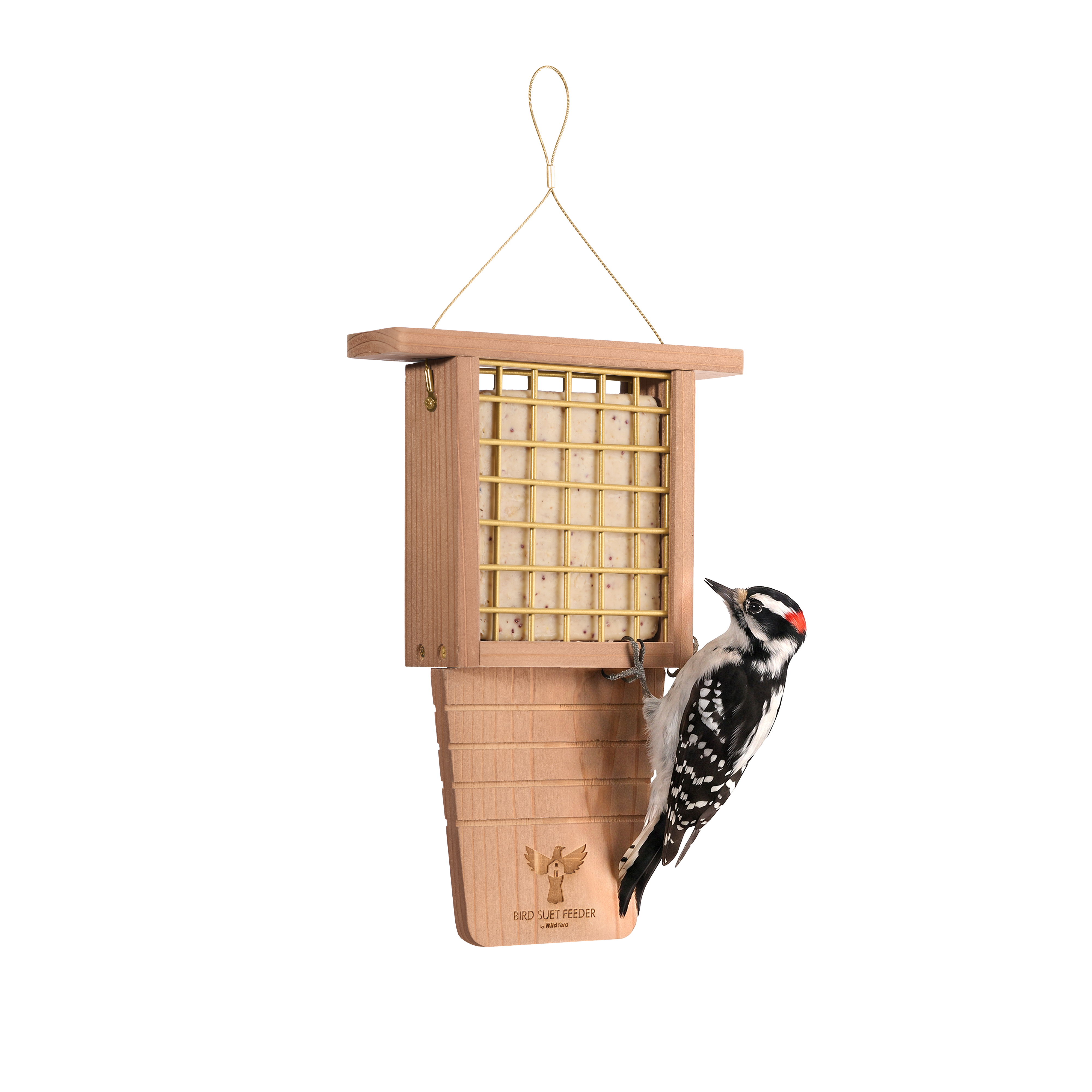 Bird Suet Feeder