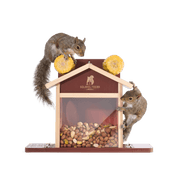 Squirrel Feeder
