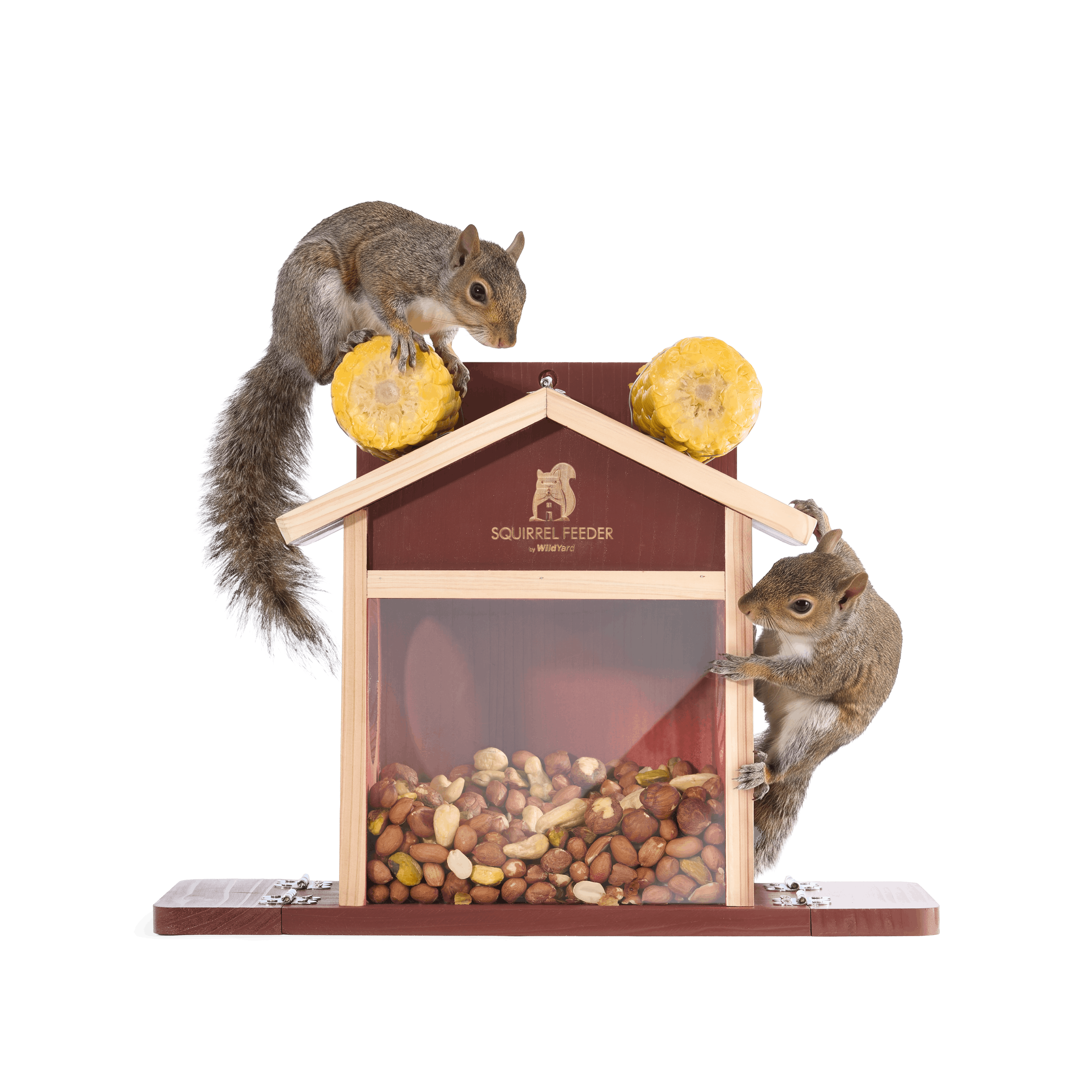 Squirrel Feeder