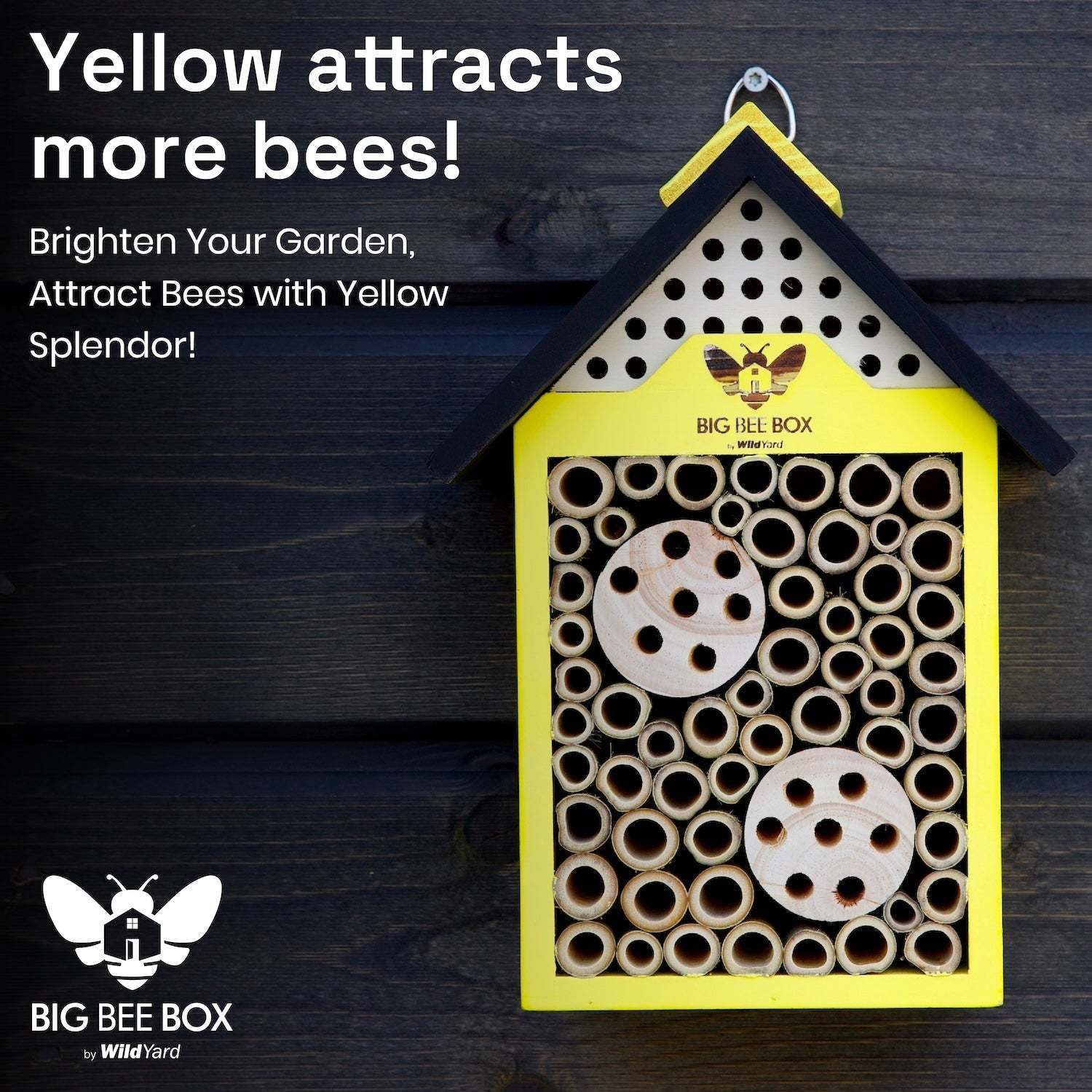 Bee house in branded retail packaging – Big Bee Box display