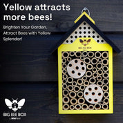Bee house in branded retail packaging – Big Bee Box display
