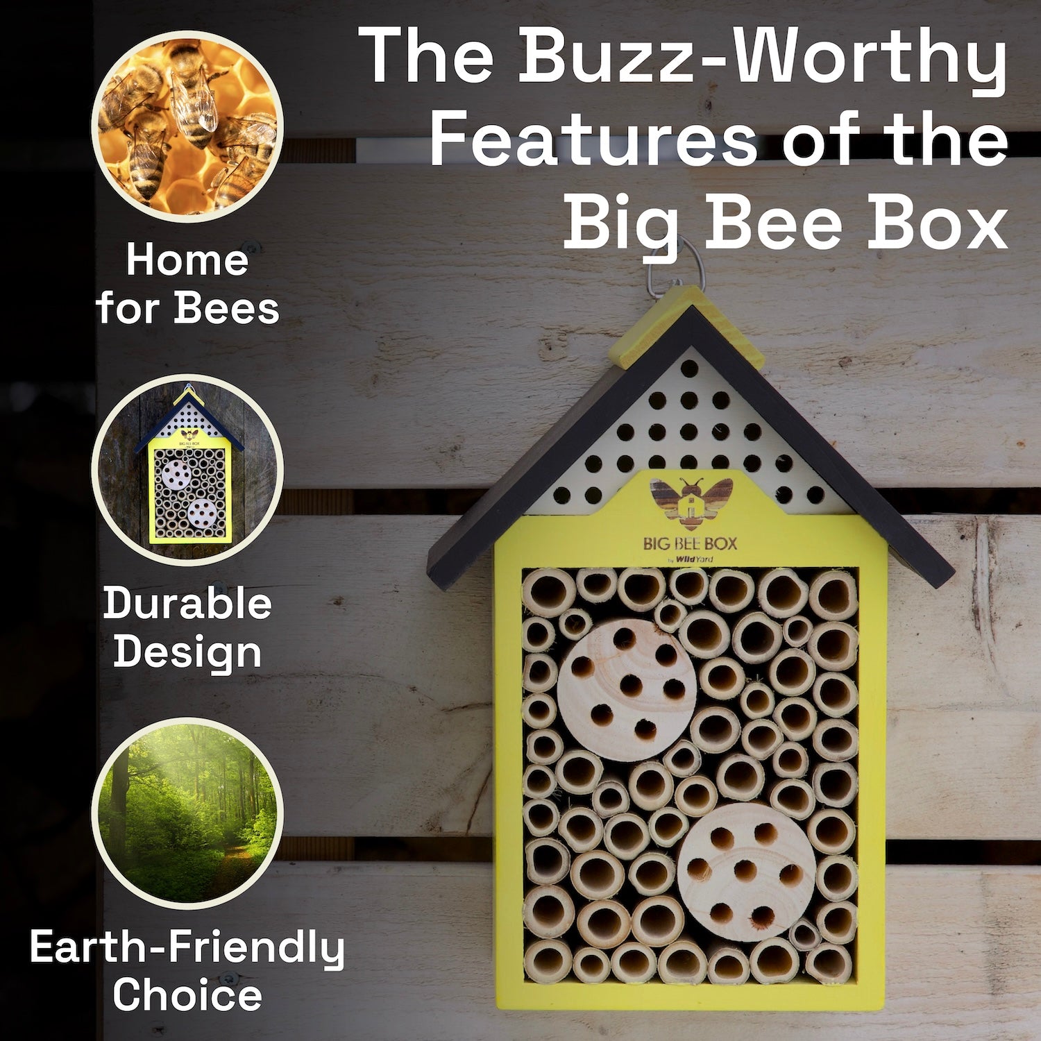 Why Big Bee Box bee house stands out – feature comparison with other models