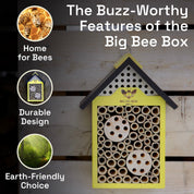 Why Big Bee Box bee house stands out – feature comparison with other models