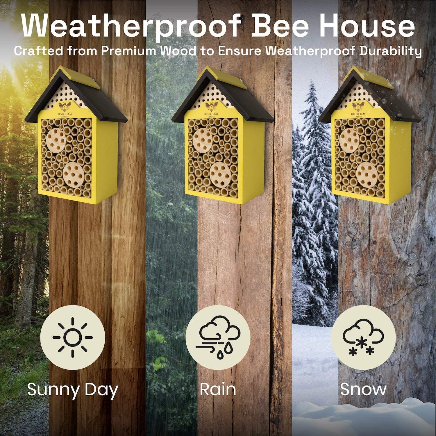 Three Big Bee Box bee houses shown in eco-friendly retail packaging