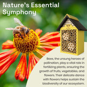 Pollinator-friendly flower garden supported by bee house habitat