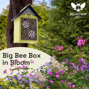 Bee house mounted in blooming garden – Big Bee Box in outdoor use