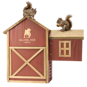 Squirrel House - Hideout & Feeder with squirrels enjoying their natural habitat and feeder.
