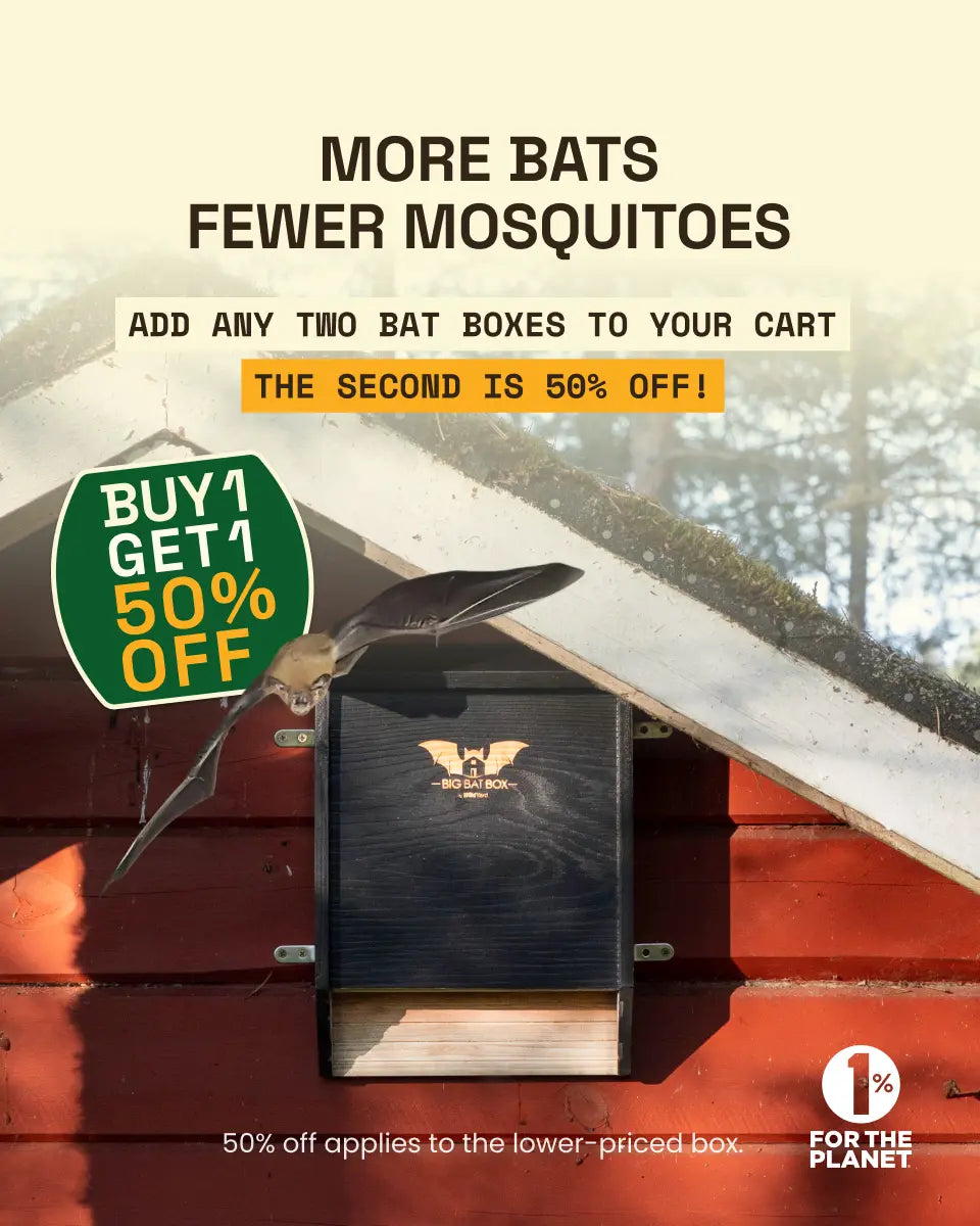 mosquitoes_shopify.webp