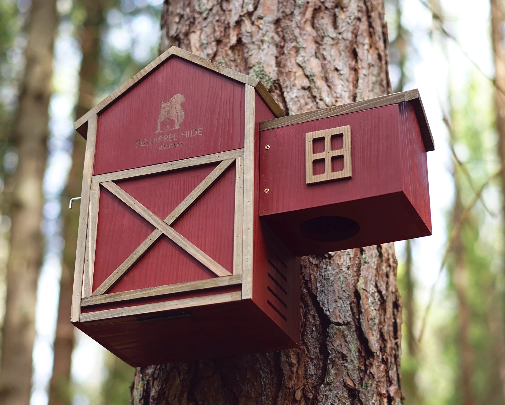 SQUIRREL HOUSES