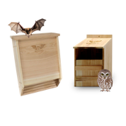 Natural cedar two-chamber bat house and WildYard Owl Box bundle