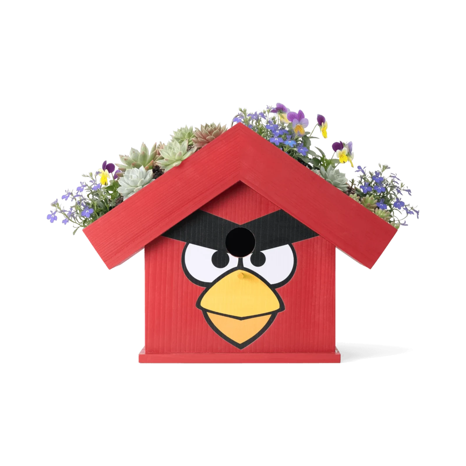 WildYard X Angry Birds™ Flowerpot Birdhouse — Red bird-shaped cedar birdhouse with wildflowers and succulents growing on the rooftop planter, NEW product launch