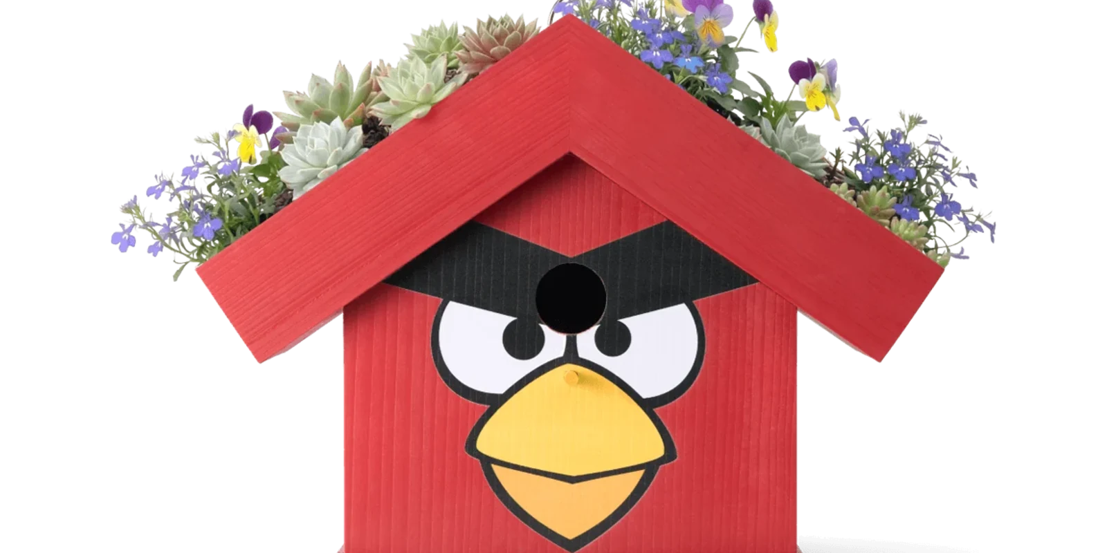 WildYard X Angry Birds™ Flowerpot Birdhouse — Red bird-shaped cedar birdhouse with wildflowers and succulents growing on the rooftop planter, NEW product launch