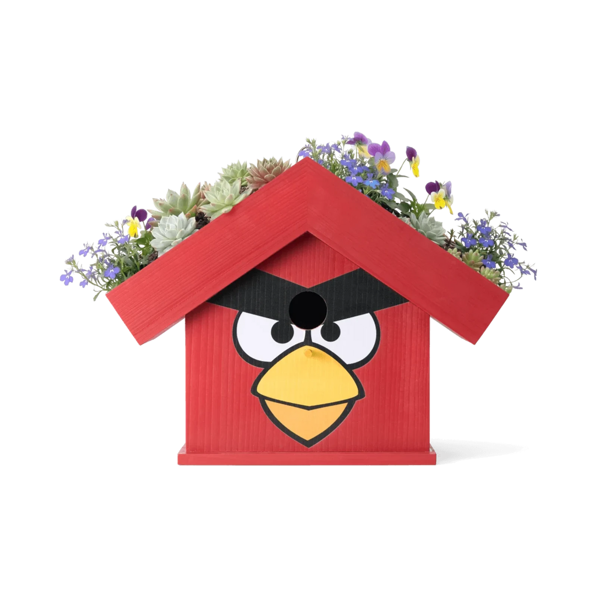 WildYard X Angry Birds™ Flowerpot Birdhouse — Red bird-shaped cedar birdhouse with wildflowers and succulents growing on the rooftop planter, NEW product launch