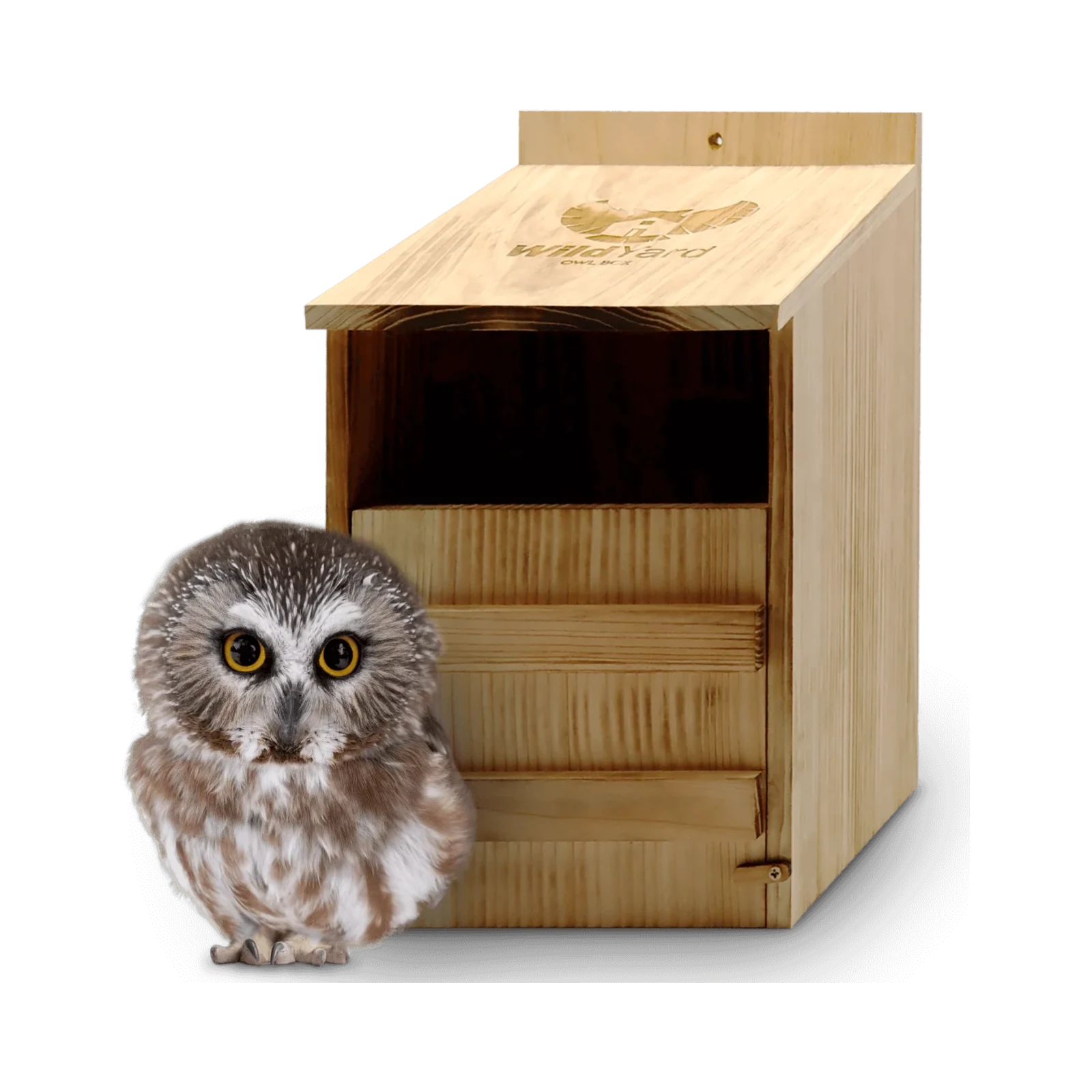 Eco-friendly wooden owl box with weather-resistant design and insulation for safe owl roosting in gardens and forests
