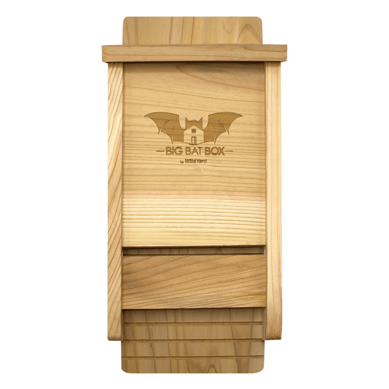 Eco-friendly single chamber cedar bat house for pest control.