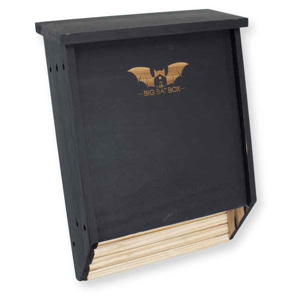 Eco-friendly double chamber bat box in black, handcrafted from durable cedar wood.
